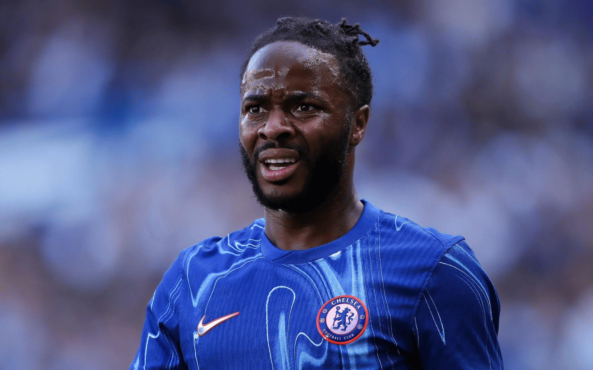 他的, 他们的引援 他的, 他们的引援